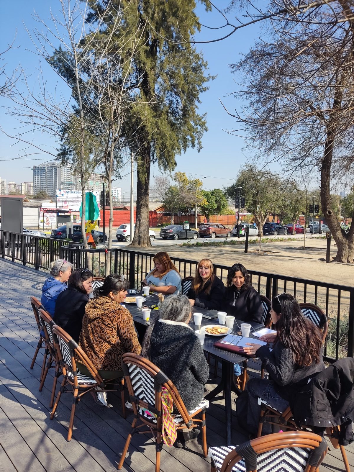 Proyecto Fosis 2025 - 2026