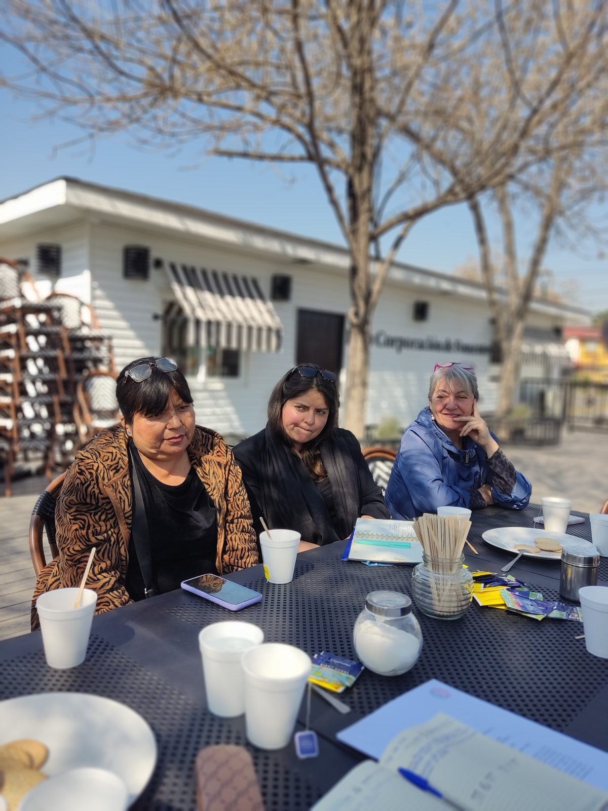 Proyecto Fosis 2025 - 2026